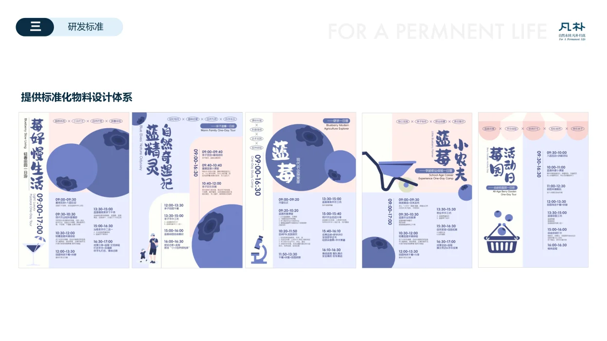 蓝莓活动的成套视觉与教学物料设计示例